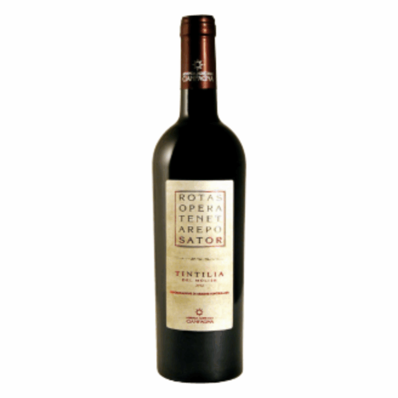 sator tintilia del molise