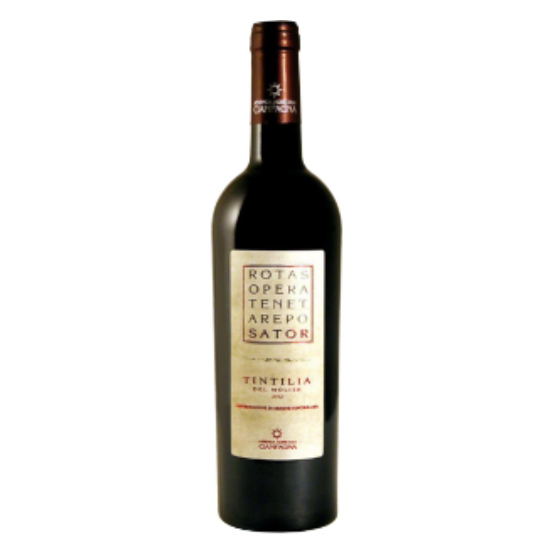 sator tintilia del molise