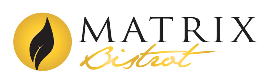 logo matrix con sfondo trasparente