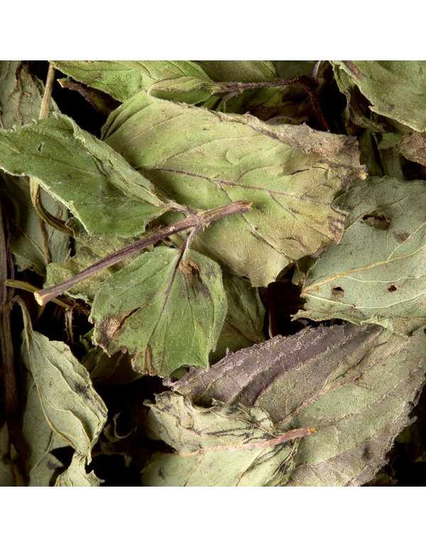 Tisana Menthe Poivrée 100 gr