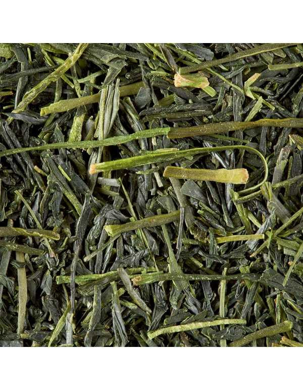 Tè Verde Sencha Tensu 100 gr