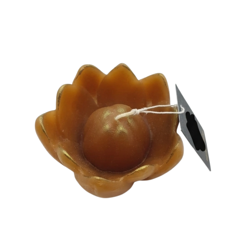 Candela a Fiore Point à la Ligne | Prezzo Speciale